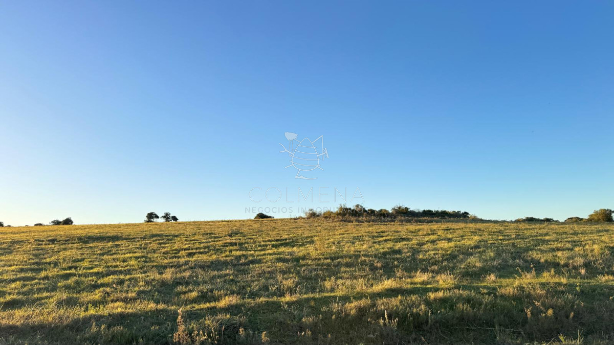 Campo en Lavalleja - COL10066P
