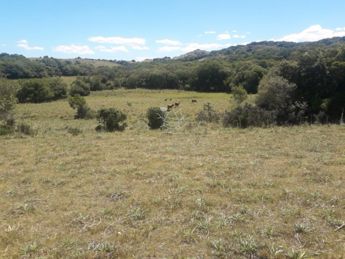 Campo por ruta 12 con muy buena casa - GoPunta - Portal Inmobiliario de Punta del Este - Maldonado