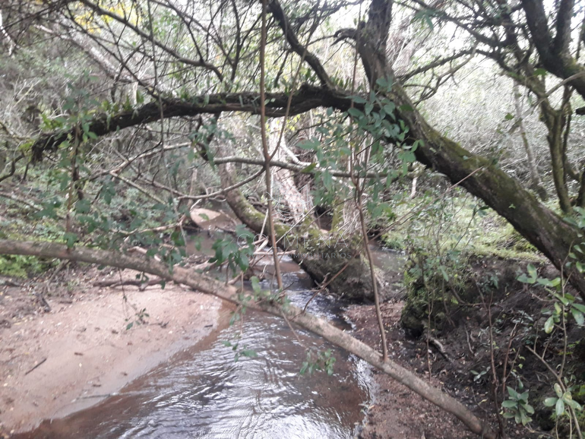 Campo a 5 km de pueblo Garzon   Coneat 106 - GoPunta - Portal Inmobiliario de Punta del Este - Maldonado