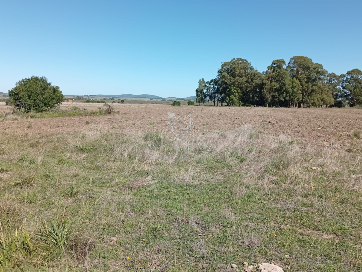 Campo 185 has - Paraje Paso de Dutra  - COL11180P