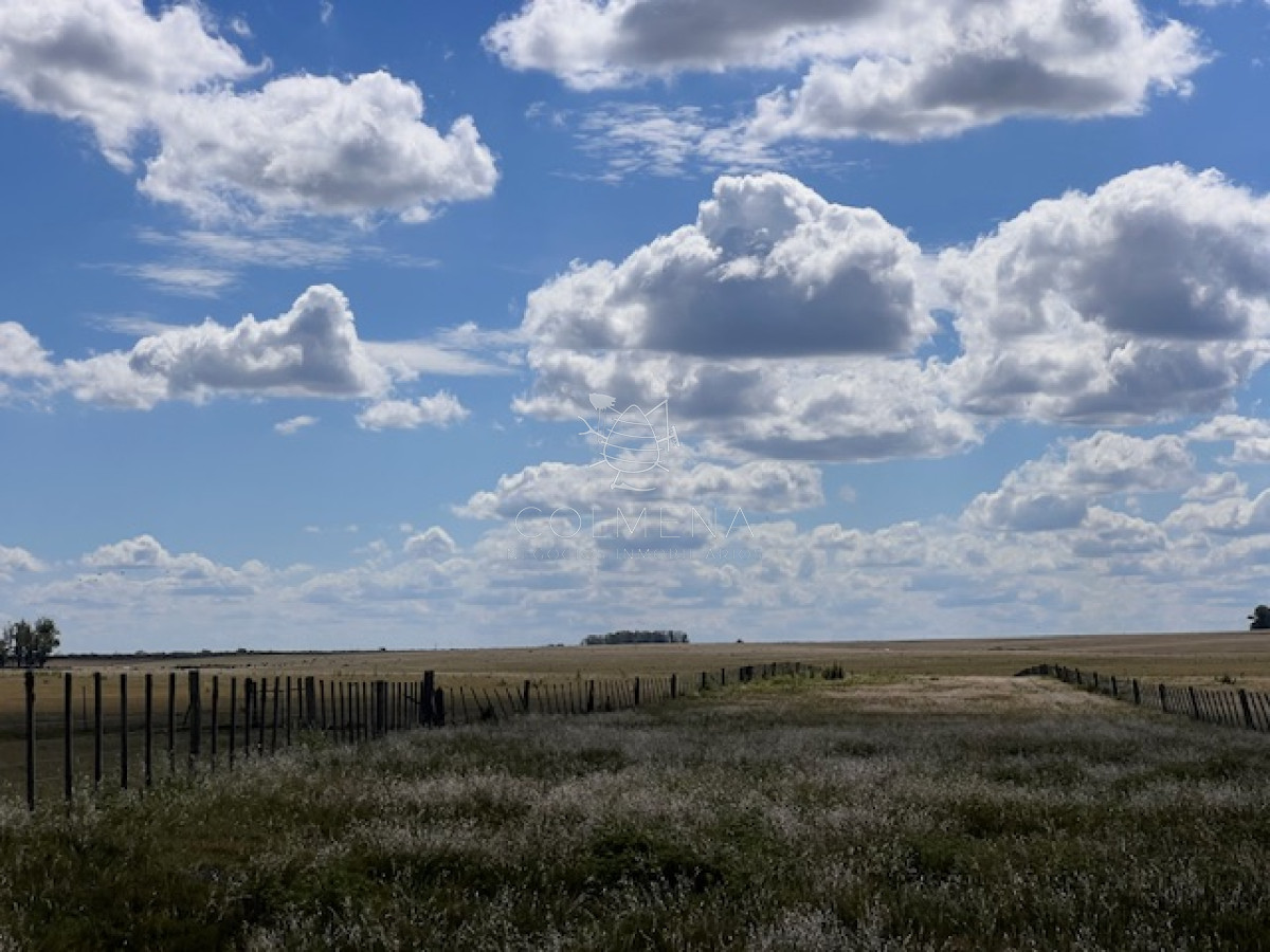 Campo agricola-ganadero - COL9366P
