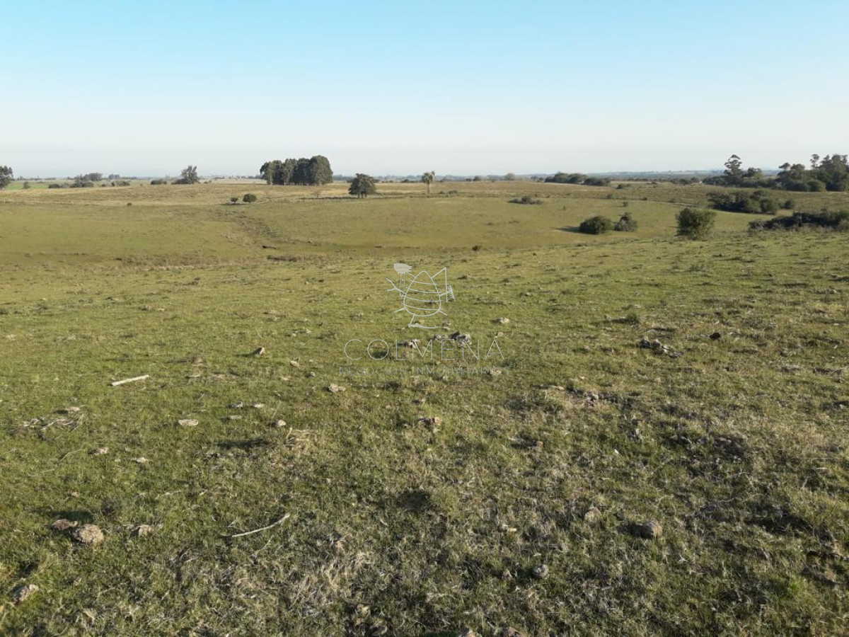 Campo de 66 has con 1991 m2   En Corte la Leña   Consulte!!! - GoPunta - Portal Inmobiliario de Punta del Este - Maldonado
