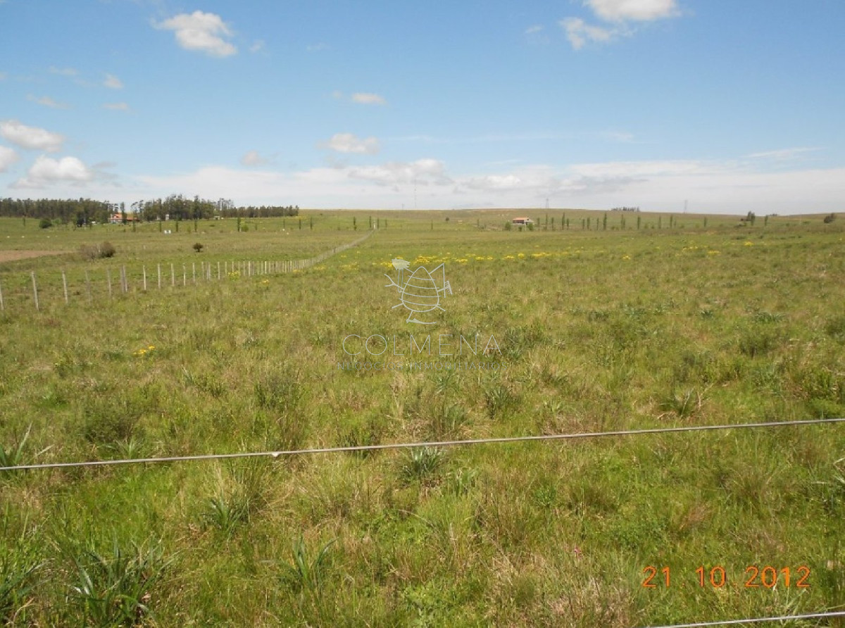 Campo de 5 has y media muy cerca de Pueblo Eden - GoPunta - Portal Inmobiliario de Punta del Este - Maldonado
