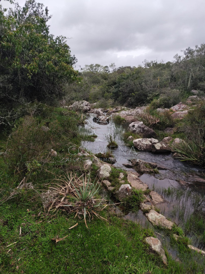 Campo con Paraje Corte de la Leña. - COL10996P