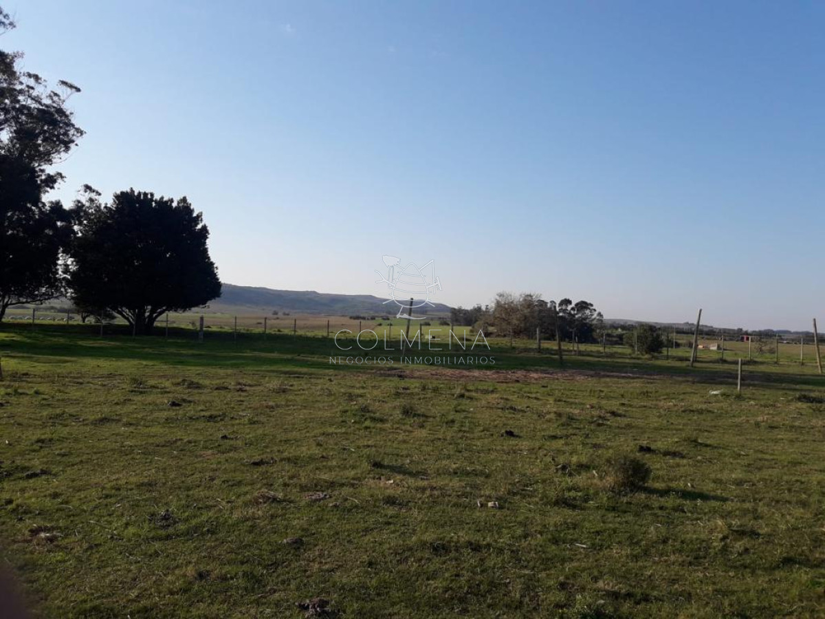 Campo de 66 has con 1991 m2   En Corte la Leña   Consulte!!! - GoPunta - Portal Inmobiliario de Punta del Este - Maldonado