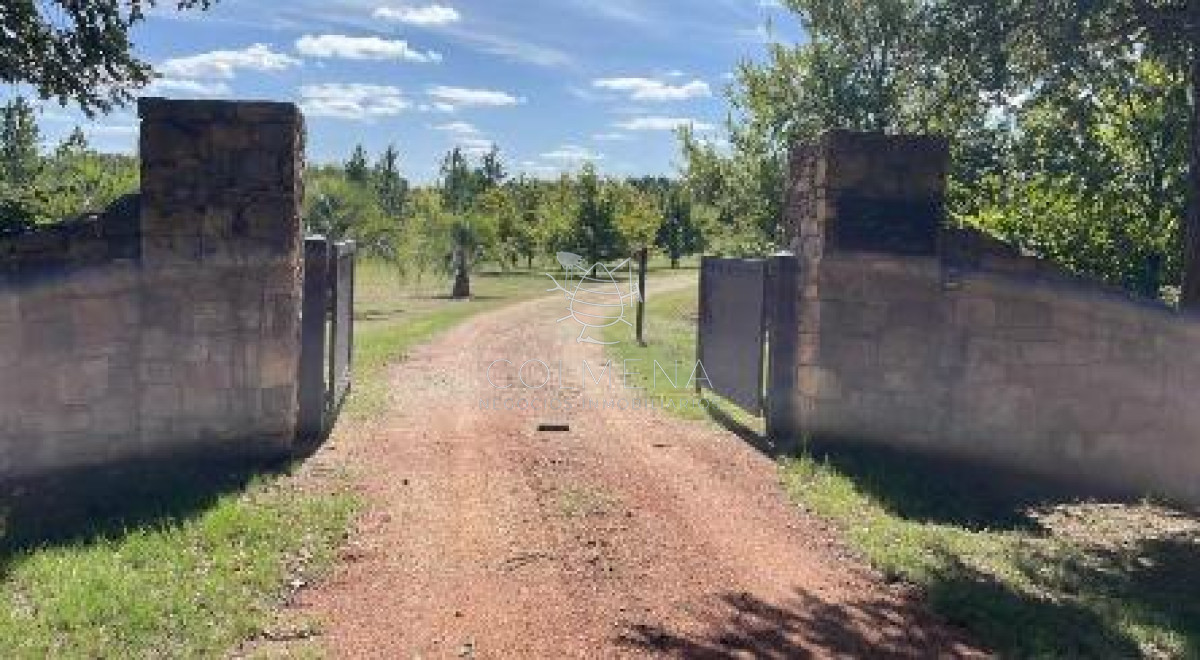 Campo 86 has con muy buena casa en sierras de las Animas - GoPunta - Portal Inmobiliario de Punta del Este - Maldonado