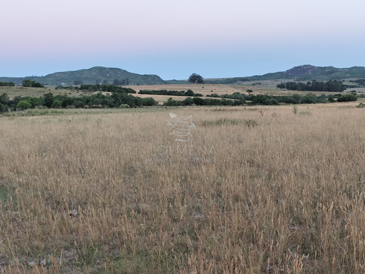 Campo de 30 has en Paso de Dutra  - COL10522P