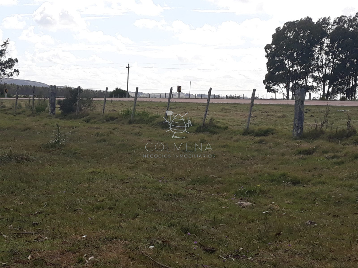 Campo 18 has en las Cañas   Consulte!!!!!! - GoPunta - Portal Inmobiliario de Punta del Este - Maldonado