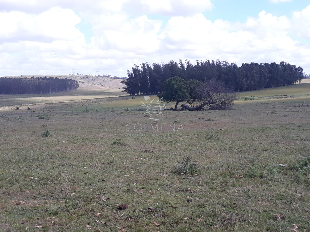 Campo 18 has en las Cañas   Consulte!!!!!! - GoPunta - Portal Inmobiliario de Punta del Este - Maldonado