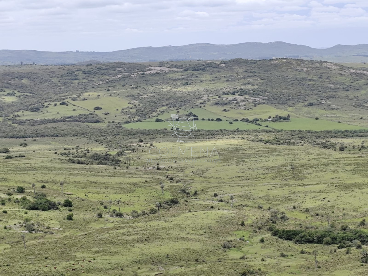 Campo de 200 hás en el departamento de Maldonado - COL10255P