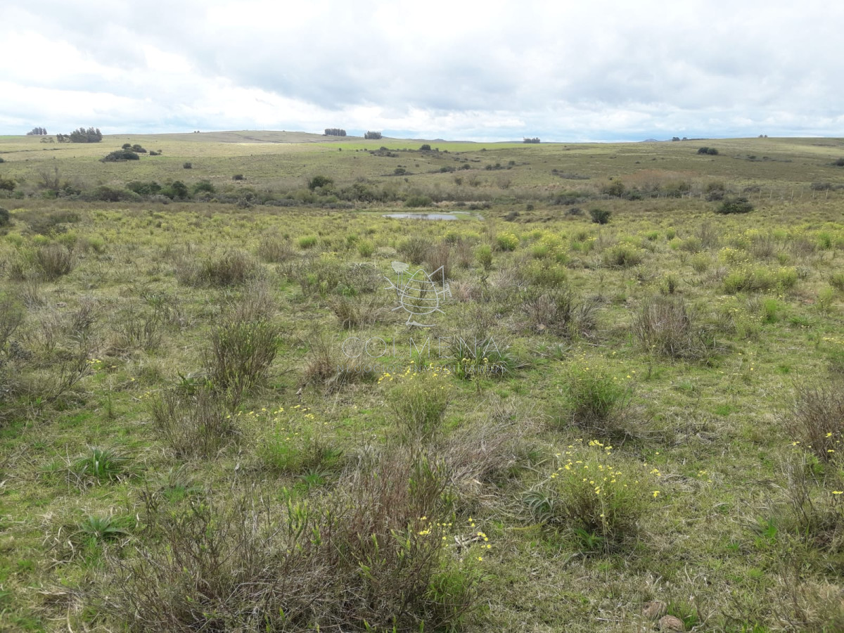 Campo de 21 has con 6010 m2 en paraje Jose Ignacio - GoPunta - Portal Inmobiliario de Punta del Este - Maldonado