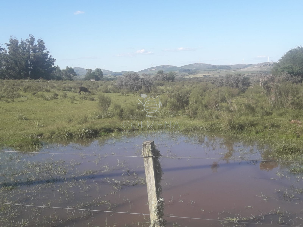 Campo cerca de Pueblo Eden   Consulte!!!!! - GoPunta - Portal Inmobiliario de Punta del Este - Maldonado