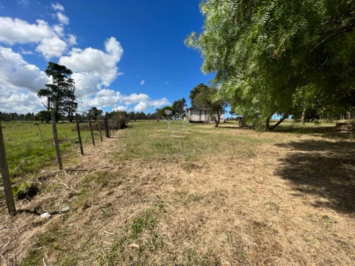 Campo 5 has con 2473 m2 sobre ruta 9 - GoPunta - Portal Inmobiliario de Punta del Este - Maldonado