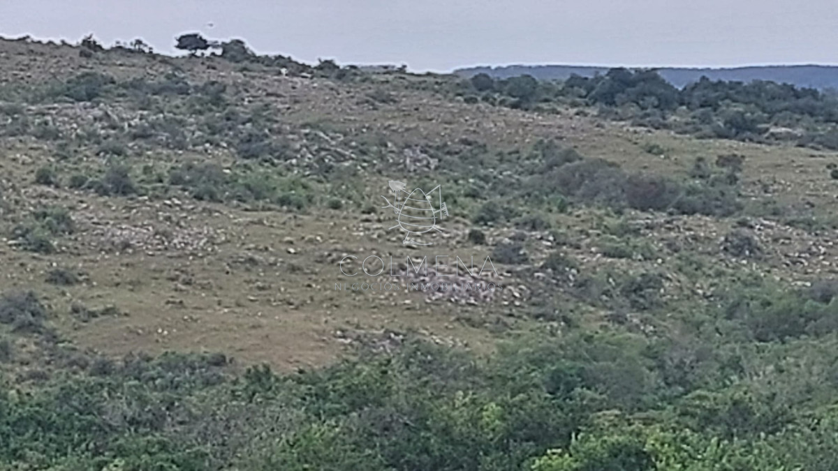 Campo de 19 hás en Las Cañas - GoPunta - Portal Inmobiliario de Punta del Este - Maldonado