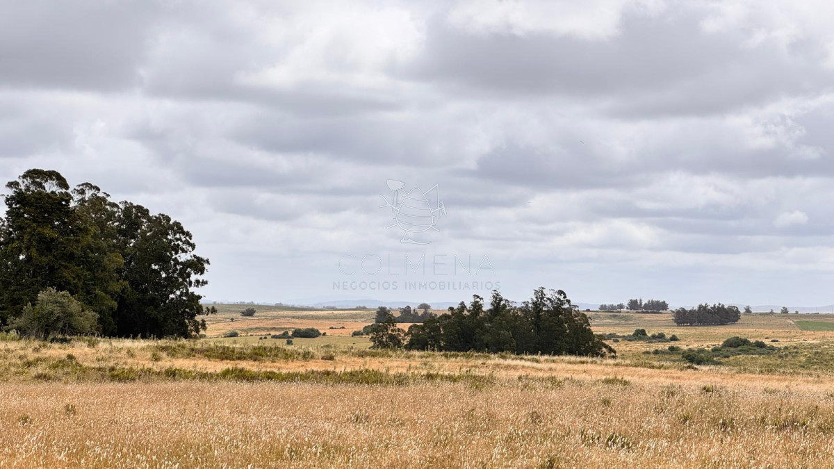 Campo 64 has en paraje Jose Ignacio - COL10198P