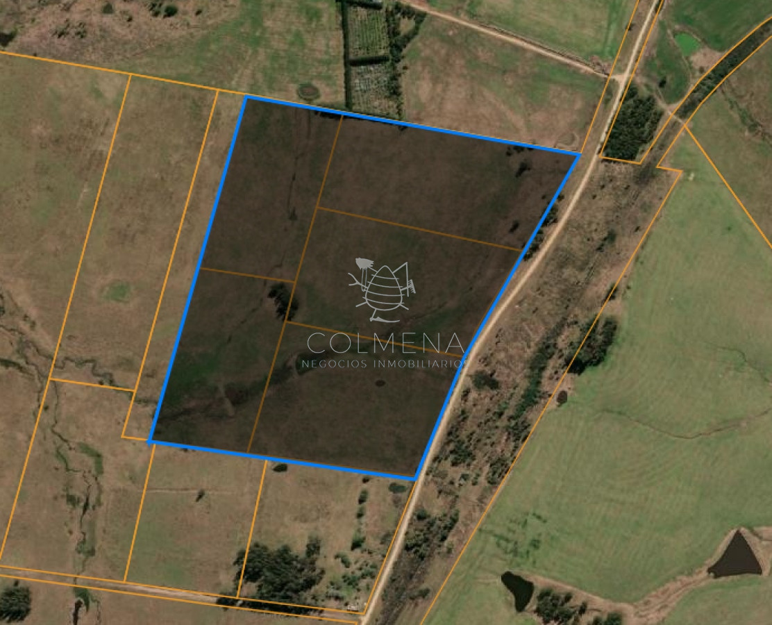 Chacras en VENTA en Garzon! Consultenos - COL7758P