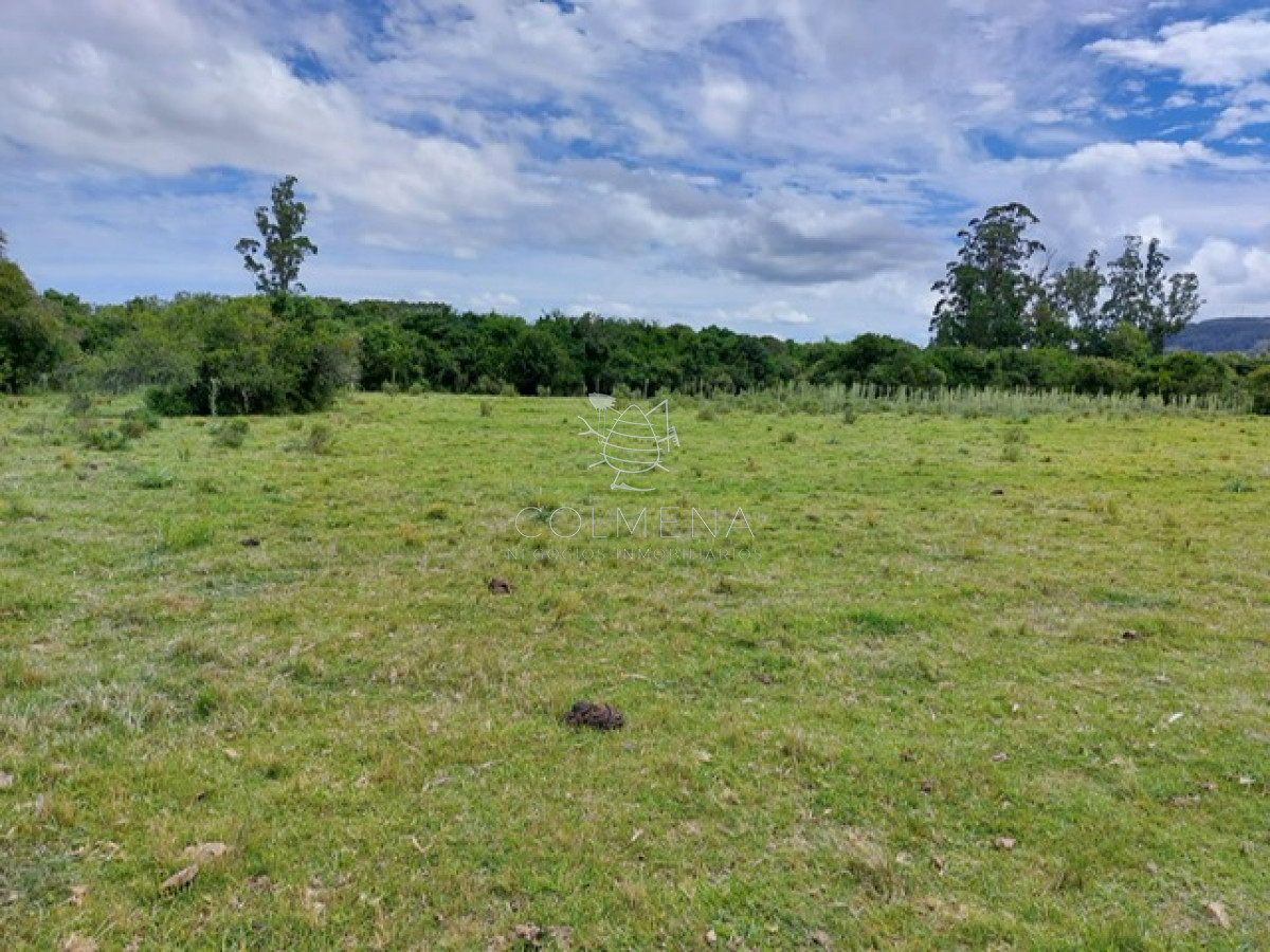 Campo 11 has con 683 m2 en paraje Pueblo Eden - GoPunta - Portal Inmobiliario de Punta del Este - Maldonado