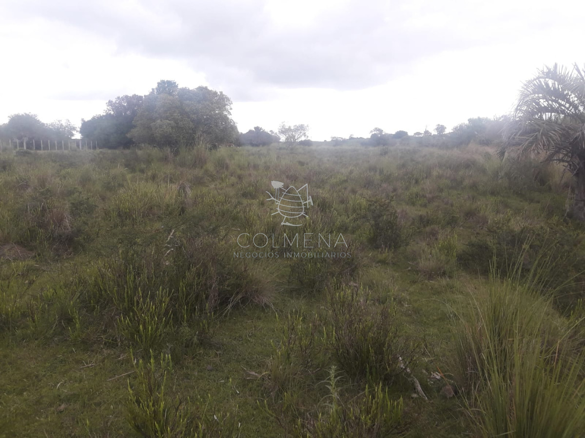 Campo en Partido Norte - GoPunta - Portal Inmobiliario de Punta del Este - Maldonado