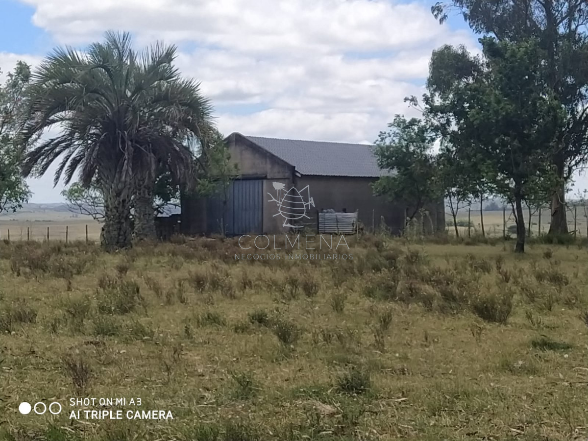Campo 28 has en Corte La Leña con casa y costa de arroyo. - GoPunta - Portal Inmobiliario de Punta del Este - Maldonado