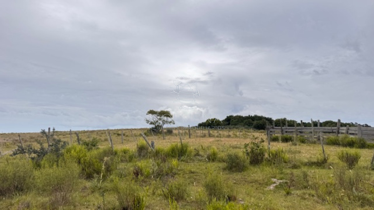 Campo de 78 has en Garzon - GoPunta - Portal Inmobiliario de Punta del Este - Maldonado