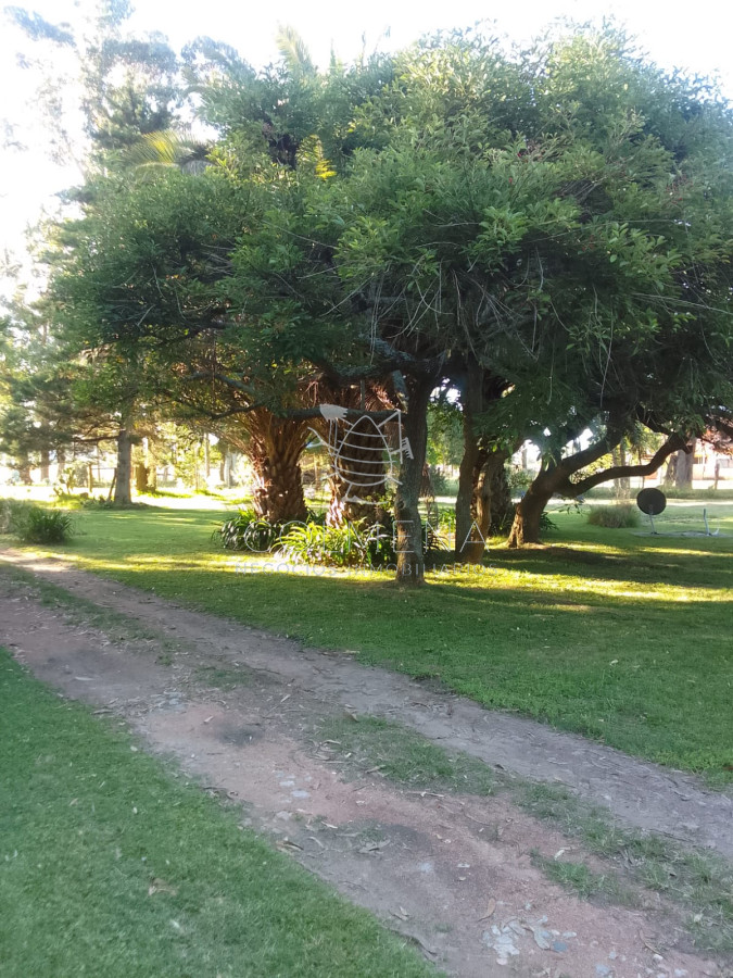 Campo de 11 has en los ceibos con 2 casas a 15 km de Punta del este - GoPunta - Portal Inmobiliario de Punta del Este - Maldonado
