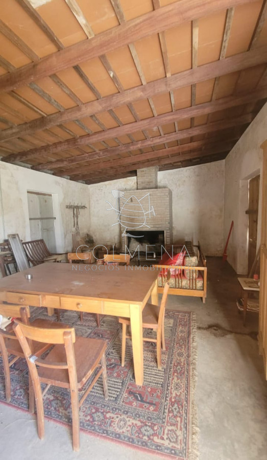 Campo 9 has con casa y plantación de olivos - GoPunta - Portal Inmobiliario de Punta del Este - Maldonado
