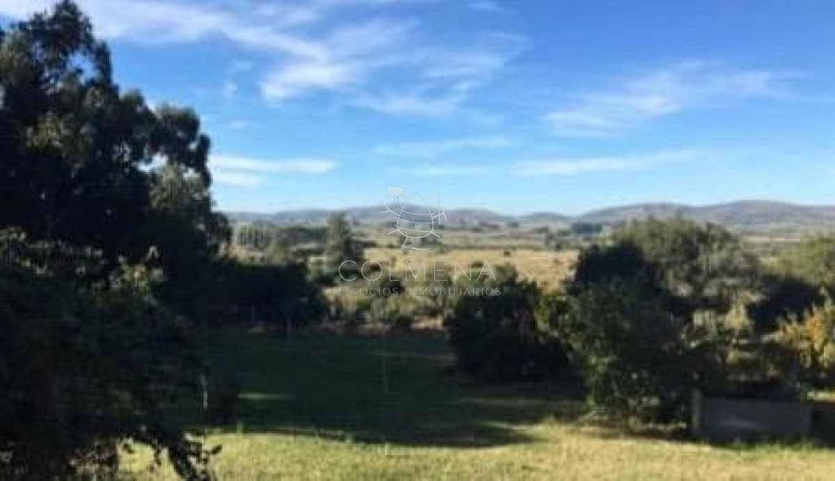 Chacra 5 has en Pueblo Edén, con casa principal cuenta Monte nativo y aguadas. - GoPunta - Portal Inmobiliario de Punta del Este - Maldonado
