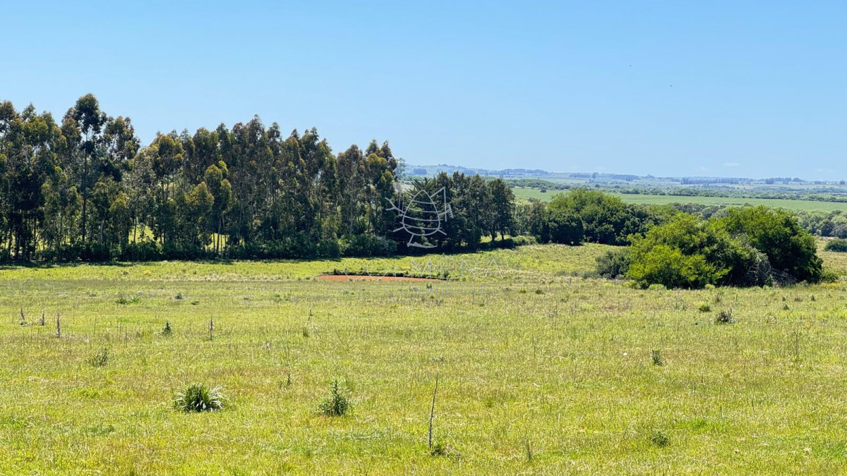 Campo en San Carlos, - GoPunta - Portal Inmobiliario de Punta del Este - Maldonado