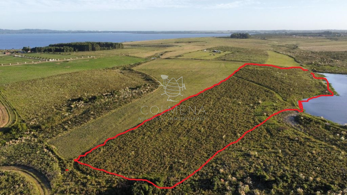 Campo con 300 m  de frente a laguna, cuenta con un islote lugar muy pintoresco. - GoPunta - Portal Inmobiliario de Punta del Este - Maldonado