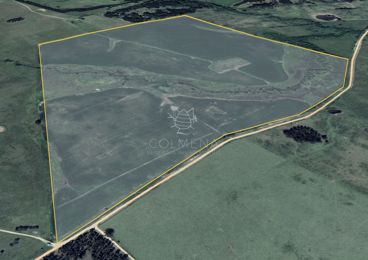 Campo Cerca de la Ruta 104 y ruta 9 - COL10295P