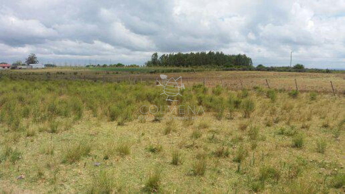 Campo 10 has con 6799 m2 cerca de ruta 8 - GoPunta - Portal Inmobiliario de Punta del Este - Maldonado