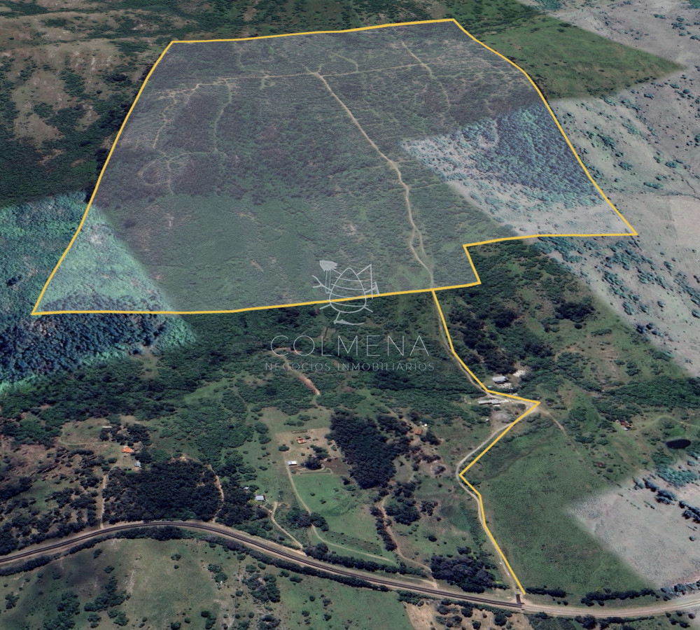 Campo cerca de Ciudad de Aigua - GoPunta - Portal Inmobiliario de Punta del Este - Maldonado