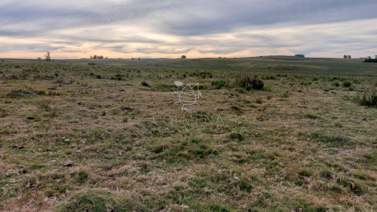 Campo en Rocha - GoPunta - Portal Inmobiliario de Punta del Este - Maldonado