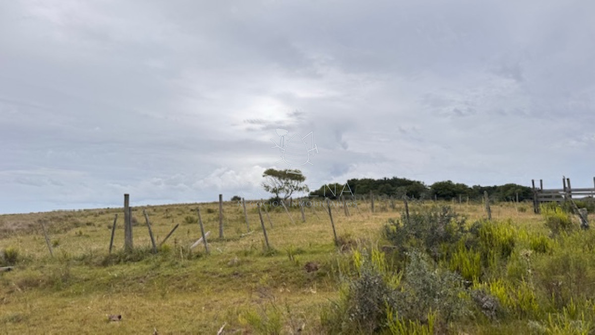 Campo de 78 has en Garzon - GoPunta - Portal Inmobiliario de Punta del Este - Maldonado