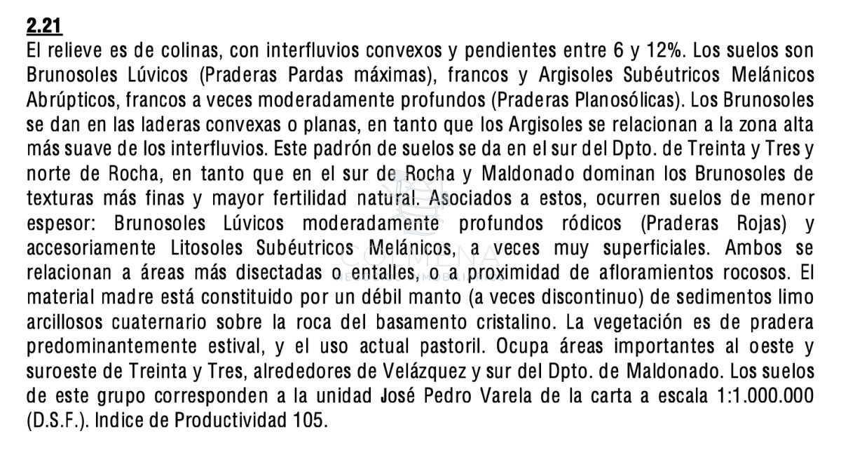 86 has en Zanja de Chavez - GoPunta - Portal Inmobiliario de Punta del Este - Maldonado