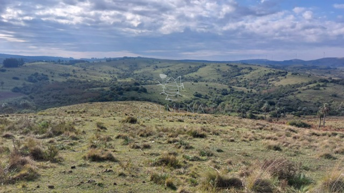 Campo de 80 has en Paraje Carape con costa de arroyo. - GoPunta - Portal Inmobiliario de Punta del Este - Maldonado
