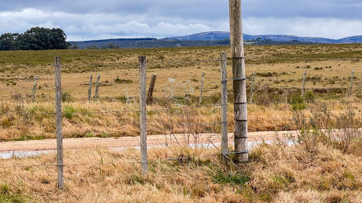 Campo de 3 has en Corte la leña - GoPunta - Portal Inmobiliario de Punta del Este - Maldonado
