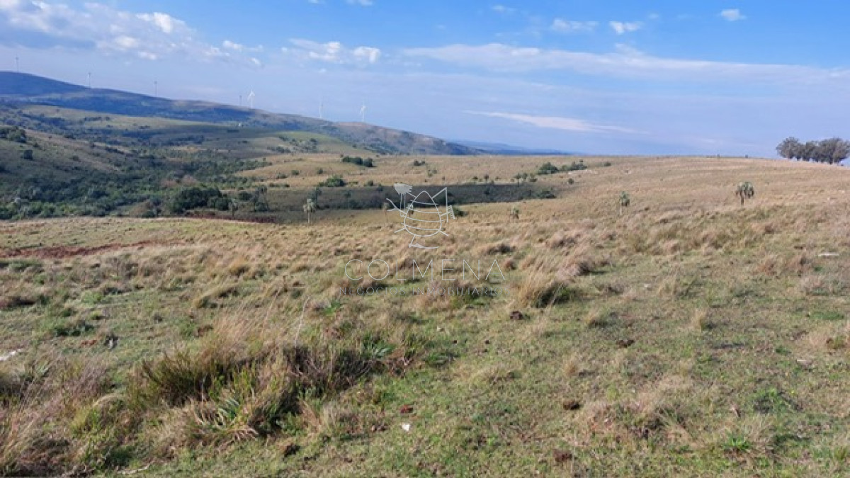 Campo de 80 has en Paraje Carape con costa de arroyo. - GoPunta - Portal Inmobiliario de Punta del Este - Maldonado