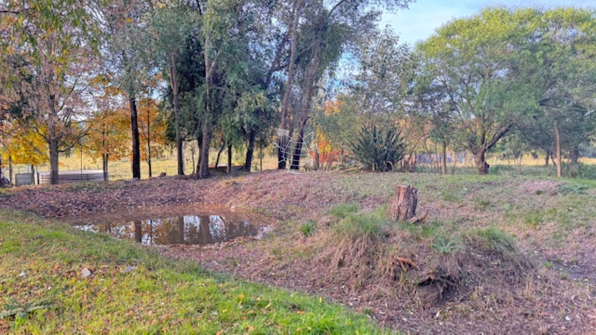 Campo de 4 has 1602 m2 muy cerca de ruta 12 y la 9. - GoPunta - Portal Inmobiliario de Punta del Este - Maldonado