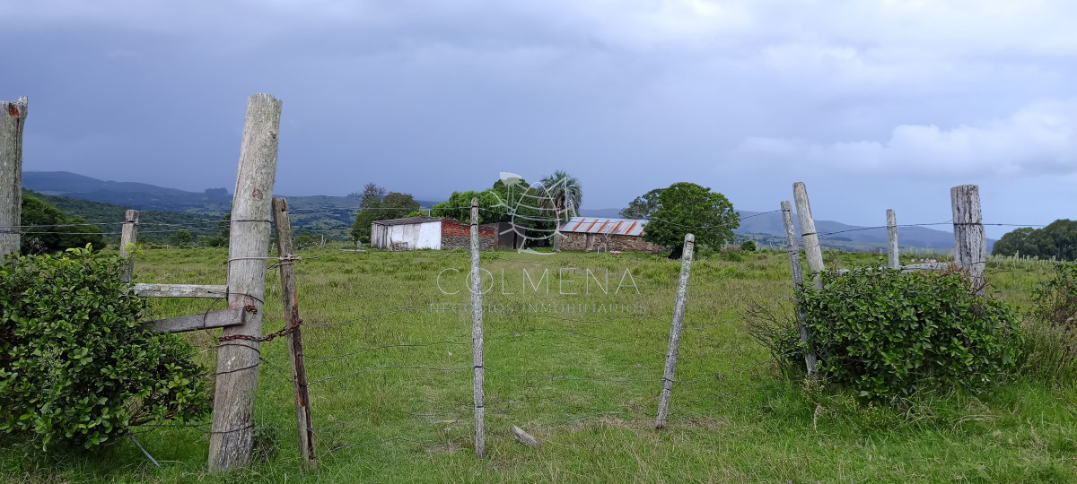 Campo en Rocha hacia ruta 15 - GoPunta - Portal Inmobiliario de Punta del Este - Maldonado