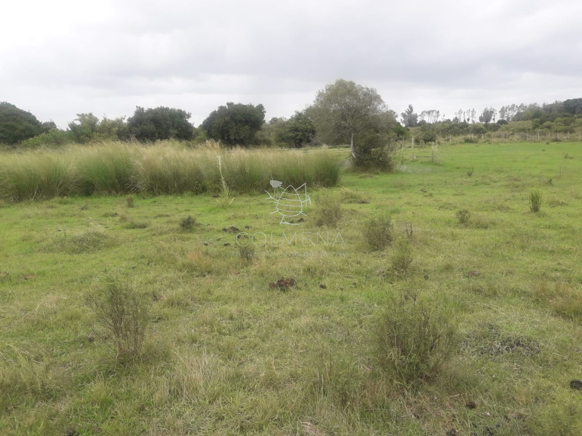 Campo de 5 has con 5891 m2 - GoPunta - Portal Inmobiliario de Punta del Este - Maldonado