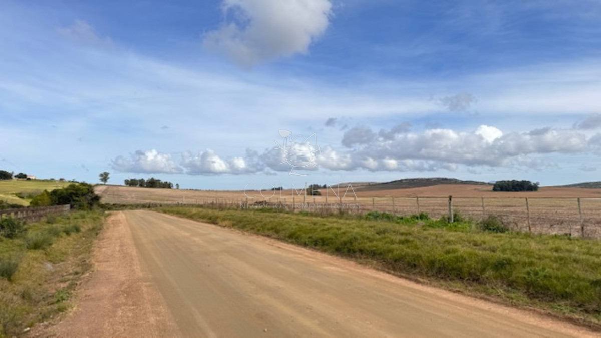 Chacras en Laguna del Sauce - GoPunta - Portal Inmobiliario de Punta del Este - Maldonado
