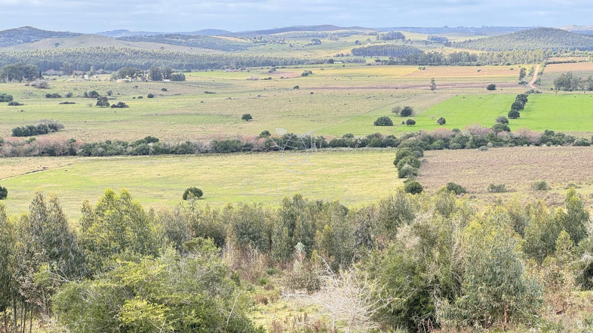 Chacra 5 has  en Campanero con buena vistas y camineria. - GoPunta - Portal Inmobiliario de Punta del Este - Maldonado