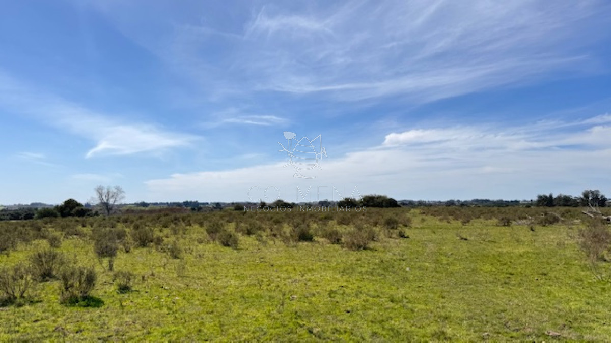 Campo 22 has con costa de arroyo ideal para fraccionar - GoPunta - Portal Inmobiliario de Punta del Este - Maldonado