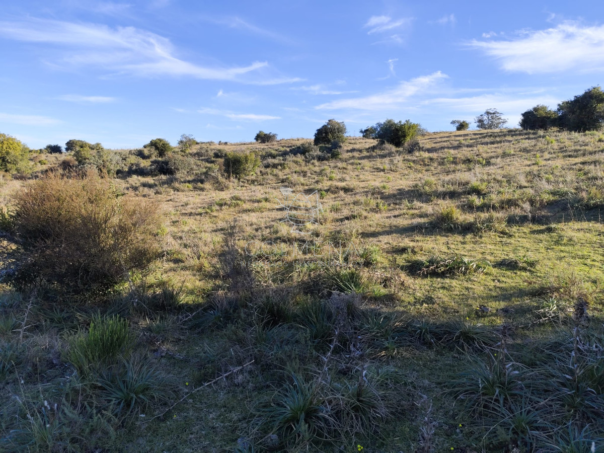 Campo cerca ruta 39 en Paso Dutra - GoPunta - Portal Inmobiliario de Punta del Este - Maldonado