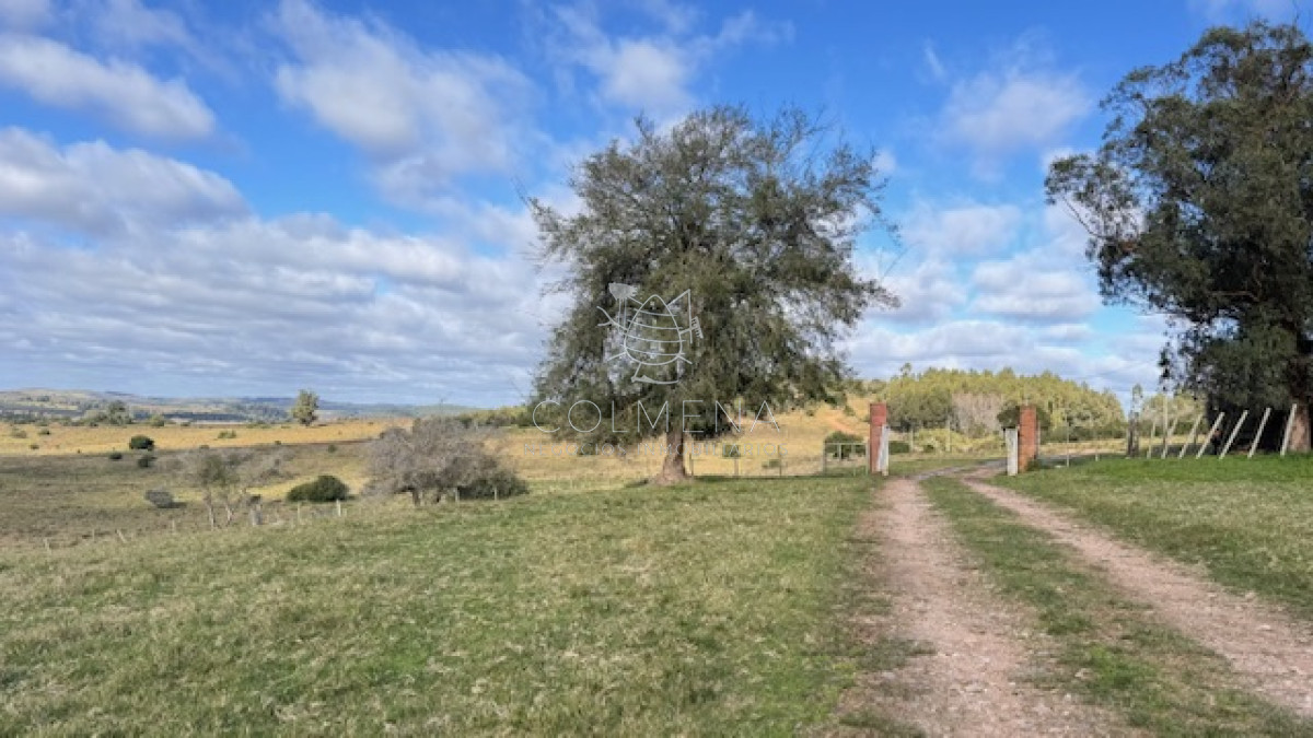 Campo 57 has   Agricola Ganadero cerca de Minas! muy bueno! - GoPunta - Portal Inmobiliario de Punta del Este - Maldonado