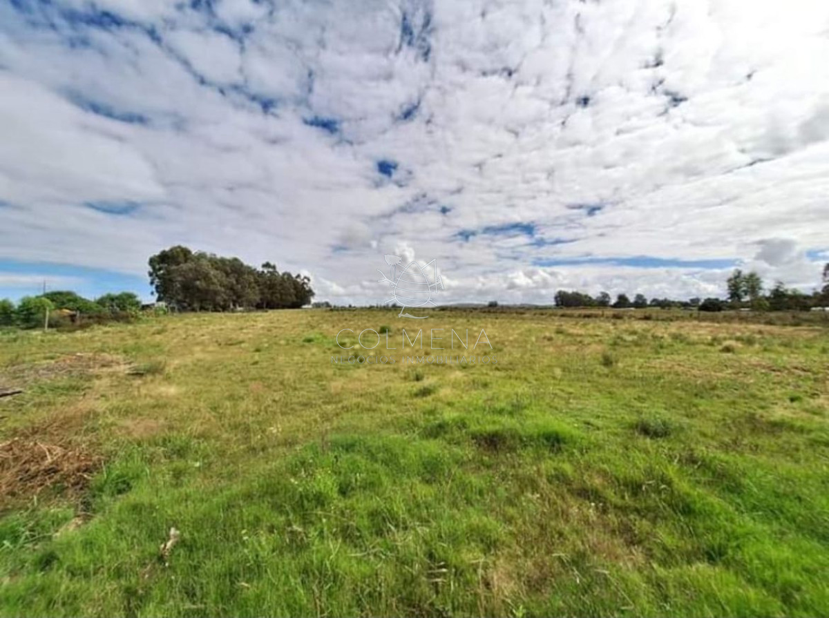Chacra de 7 has 5437 m2 en los Ceibos - GoPunta - Portal Inmobiliario de Punta del Este - Maldonado