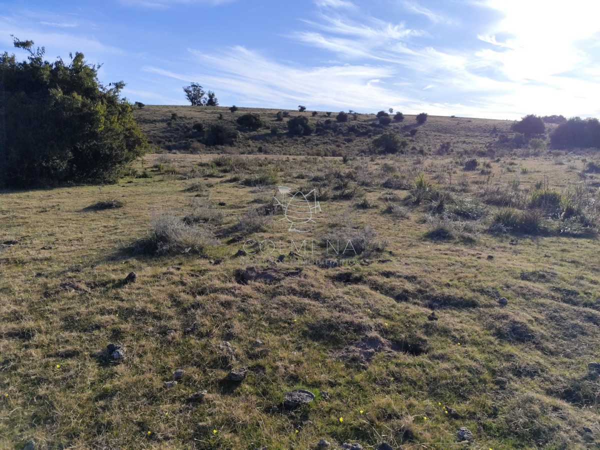 Campo cerca ruta 39 en Paso Dutra - GoPunta - Portal Inmobiliario de Punta del Este - Maldonado