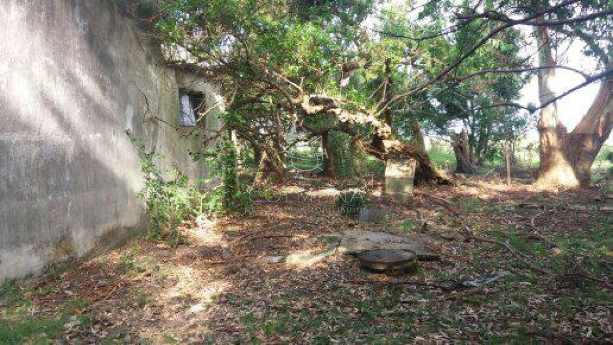 Campo 10 has con 6799 m2 cerca de ruta 8 - GoPunta - Portal Inmobiliario de Punta del Este - Maldonado