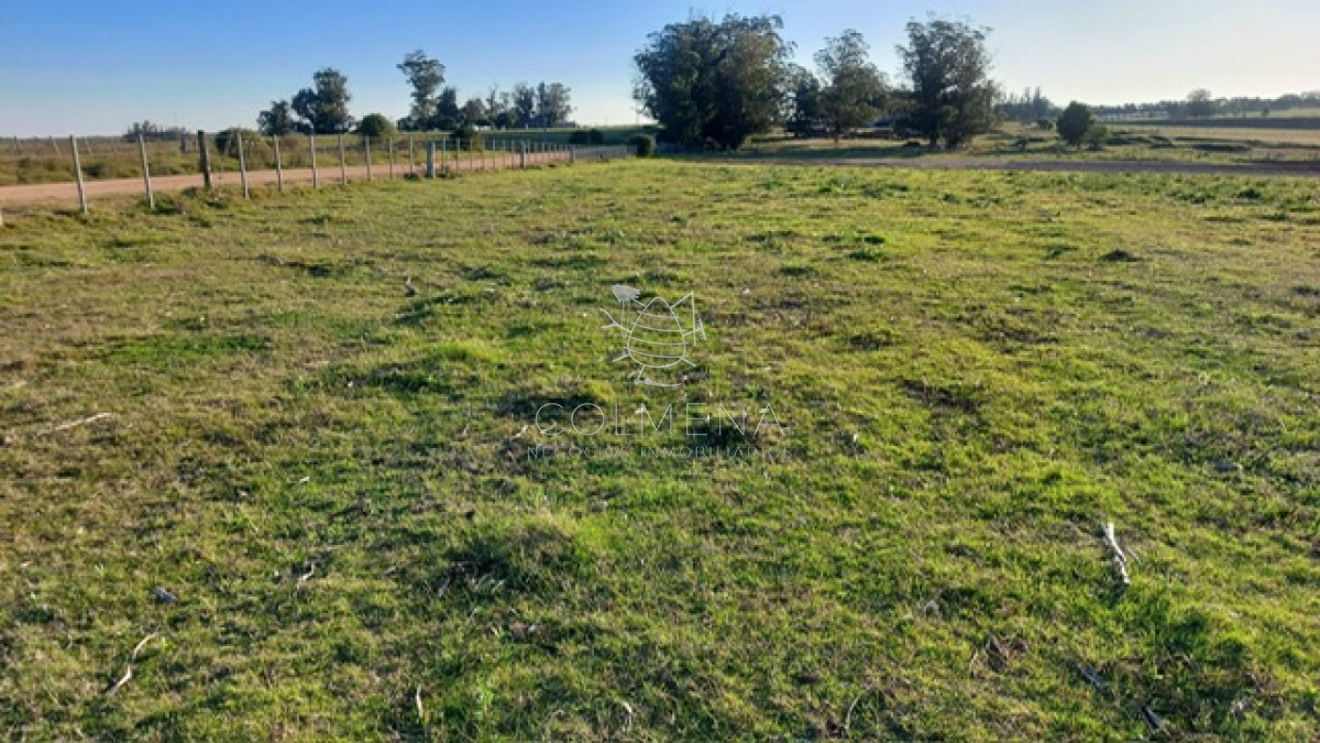 Campo 5 has con tres lagos , pasa la luz. - GoPunta - Portal Inmobiliario de Punta del Este - Maldonado